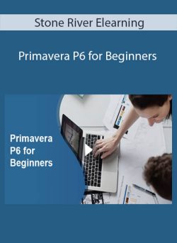 Stone River Elearning Primavera P6 for Beginners 250x343 1 - eSy[GB]