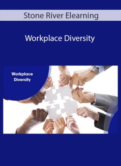 Stone River Elearning Workplace Diversity 250x343 1 - eSy[GB]