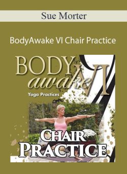 Sue Morter BA6A DIG BodyAwake VI Chair Practice 250x343 1 - eSy[GB]