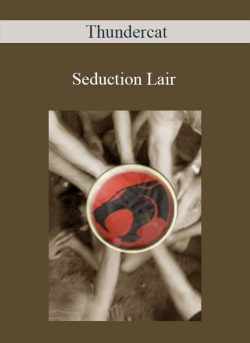 Thundercat Seduction Lair 250x343 1 - eSy[GB]