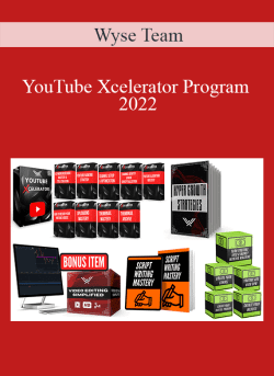 Wyse Team YouTube Xcelerator Program 2022 250x343 1 - eSy[GB]